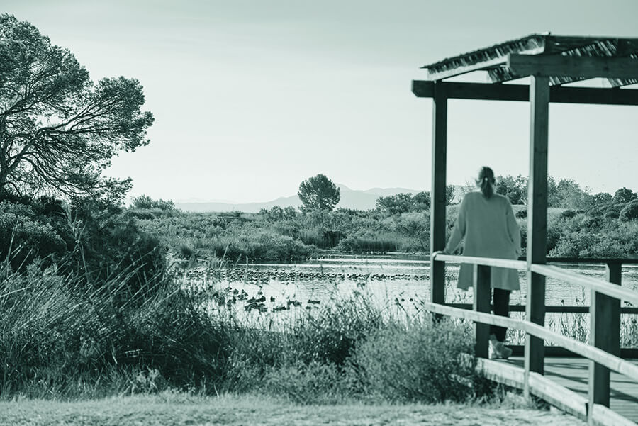 El Jardín del Turia vertebra València como una gran banda verde, y su conexión al mar en Nazaret es clave. También destaca la recuperación del Parque Natural del Turia tras las crecidas de 2024. Los ingenieros agrónomos somos esenciales en el diseño de jardines urbanos y la gestión de la huerta y la Albufera, equilibrando sostenibilidad y desarrollo.
