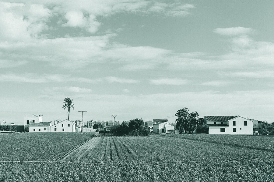 Debemos poner el énfasis y solicitar el reconocimiento de instituciones y ciudadanos de la labor que las acequias que forman el milenario Tribunal de las Aguas de la Vega de València, han venido haciendo para mantener la huerta y producir alimentos de una verdadera proximidad, y como plan de futuro algunas de estas comunidades están participando en Hortigo2, un ambicioso proyecto de poner en valor las toneladas de CO2 que absorben nuestros cultivos. Pudiendo ofrecer unos productos neutros en huella de carbono y de la máxima cercanía.
