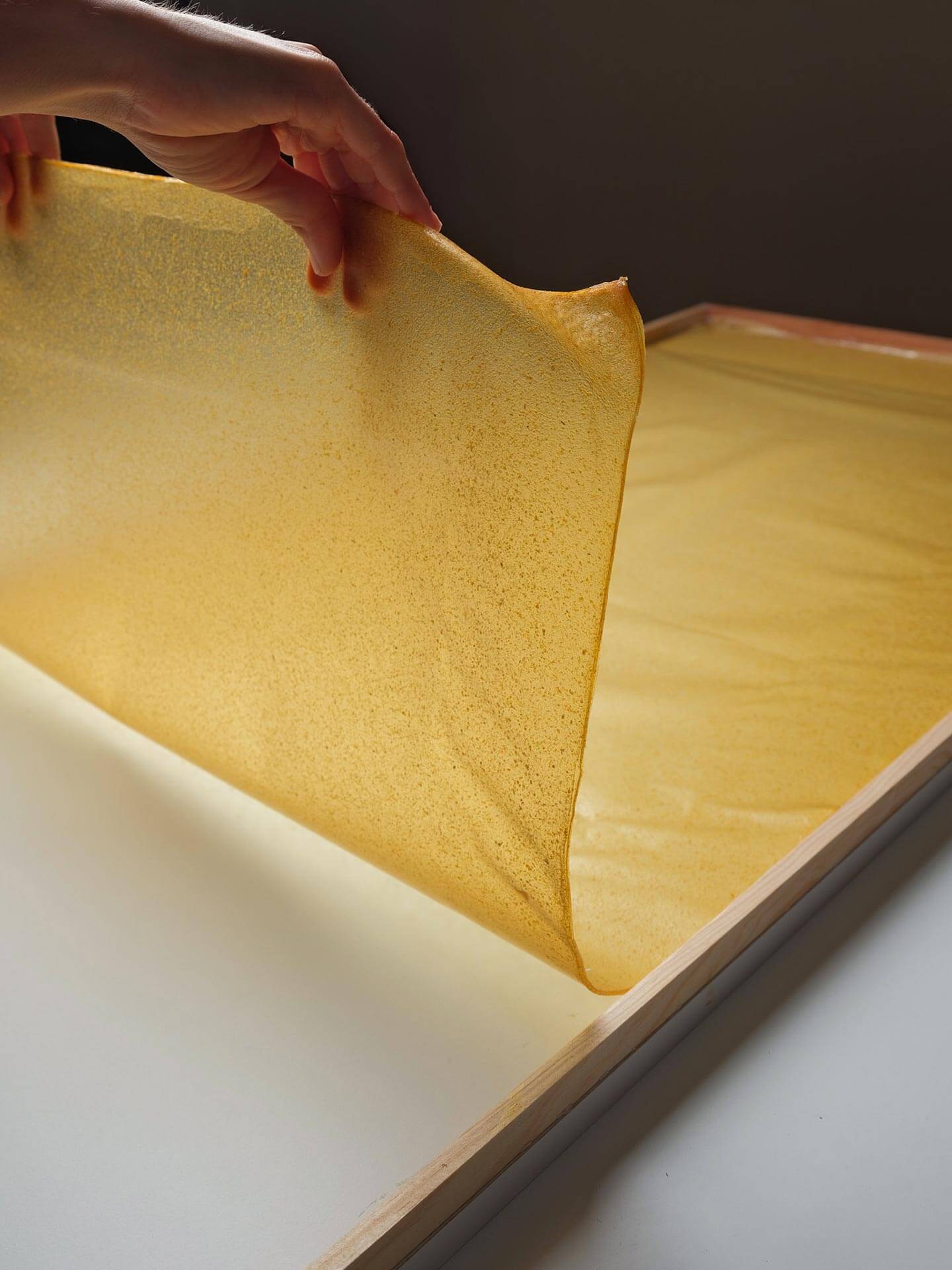 Lámina de biomaterial I