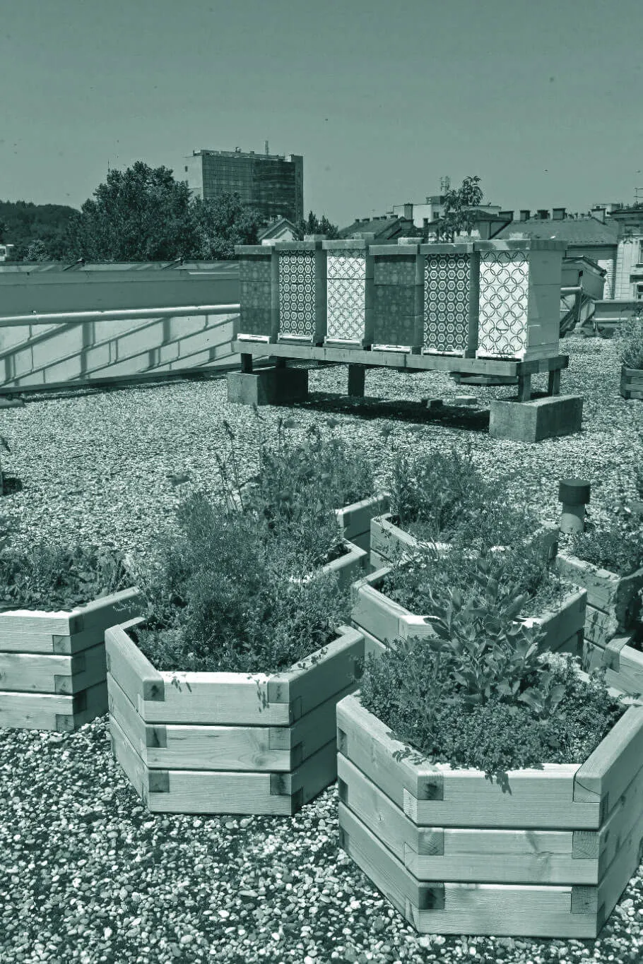 biodiversitat